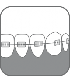 paroÂ® ORTHO BRUSH CHILD ÐÐµÑÑÐºÐ°Ñ Ð¾ÑÑÐ¾Ð´Ð¾Ð½ÑÐ¸ÑÐµÑÐºÐ°Ñ Ð·ÑÐ±Ð½Ð°Ñ ÑÐµÑÐºÐ°